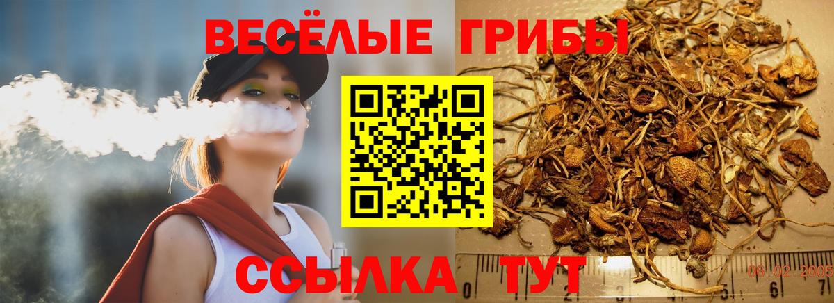 Галлюциногенные грибы ЛСД  Галлюциногенные грибы Magic Shrooms  Нижний Тагил  Вход с VPN 